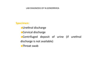 LAB DIAGNOSIS OF N.GONORRHEA
Specimen:
Urethral discharge
Cervical discharge
Centrifuged deposit of urine (if urethral
discharge is not available)
Throat swab
 