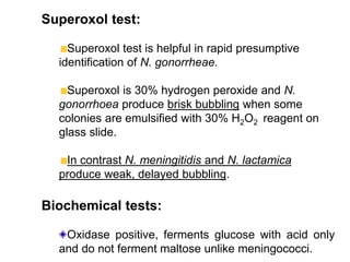 Superoxol test:
Superoxol test is helpful in rapid presumptive
identification of N. gonorrheae.
Superoxol is 30% hydrogen peroxide and N.
gonorrhoea produce brisk bubbling when some
colonies are emulsified with 30% H2O2 reagent on
glass slide.
In contrast N. meningitidis and N. lactamica
produce weak, delayed bubbling.
Biochemical tests:
Oxidase positive, ferments glucose with acid only
and do not ferment maltose unlike meningococci.
 
