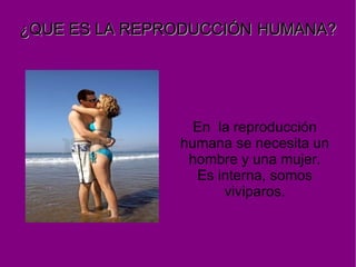 ¿QUE ES   LA REPRODUCCIÓN   HUMANA? En  la reproducción humana se necesita un hombre y una mujer. Es interna, somos vivipa...