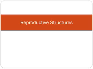 Reproductive Structures 