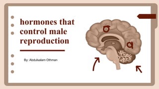hormones that
control male
reproduction
By: Abdulsalam Othman
 