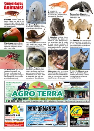 16 www.reportercapixaba.com
Baratas podem viver de-
baixo d’água por até 30 mi-
nutos, porque alguns tipos
são também aquáticos e têm
um super fôlego.
Curiosidades
Animais!
Flamingos nascem bran-
cos. É a sua dieta, rica em
camarão e algas que dá a
eles o tom rosa.
Os Mosquitos que picam
os serem humanos são
fêmeas e não machos. E
por que elas picam? Porque
necessitam de sangue para
a produção de ovos.
Tamanduás Gigantes
podem comer mais de 30.000
insetos por dia.
O coração do
Camarão fica den-
tro da cabeça assim como o
seu sistema digestivo.
Os Ursos Polares pos-
suem pele negra por baixo
dos pelos branquinhos.
Um Caracol levaria cerca de
140 horas sem parar para
conseguir caminhar 1 km.
Morcegos são os únicos
mamíferos que podem voar.
Brasil tem mais de 180 espé-
cies de morcegos e só três
se alimentam de sangue.
Um Bicho Preguiça leva
semanas (até 1 mês) para
digerir as folhas que come,
porque seu metabolismo é
realmente muito lento. Não
é por acaso que são uns
verdadeiros dorminhocos.
O Wombat, animal típico
da Austrália, faz cocô em
forma de cubo. Pesquisado-
res acreditam que a razão
é para marcar território. O
formato cúbico permite que
as fezes fiquem no lugar em
vez de rolarem para longe.
Um Camelo não sua até que
sua temperatura corporal atin-
ja 41°C, o que é um belo meio
de conservarem água dentro
do seu organismo.
O chifre do Rinoceronte
é feito de queratina. Esse
material é o mesmo contido
no cabelo e na unha dos
seres humanos.
 