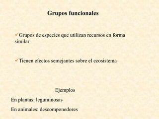 Grupos funcionales
Grupos de especies que utilizan recursos en forma
similar
Tienen efectos semejantes sobre el ecosistema
Ejemplos
En plantas: leguminosas
En animales: descomponedores
 