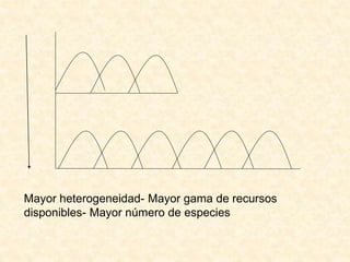 Mayor heterogeneidad- Mayor gama de recursos
disponibles- Mayor número de especies
 