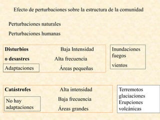 Efecto de perturbaciones sobre la estructura de la comunidad
Perturbaciones naturales
Perturbaciones humanas
Disturbios Baja Intensidad
o desastres Alta frecuencia
Áreas pequeñas
Catástrofes Alta intensidad
Baja frecuencia
Áreas grandes
Adaptaciones
No hay
adaptaciones
Inundaciones
fuegos
vientos
Terremotos
glaciaciones
Erupciones
volcánicas
 
