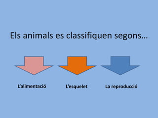Els animals es classifiquen segons…
L’alimentació L’esquelet La reproducció
 