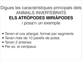 Digues les característiques principals dels
ANIMALS INVERTEBRATS
ELS ATRÒPODES MIRIÀPODES !
i posa’n un exemple
• Tenen el cos allargat, format per segments
• Tenen més de 10 parells de potes
• Tenen 2 antenes
• Per ex. el centpeus
 