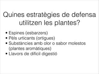 Quines estratègies de defensa
utilitzen les plantes?
• Espines (esbarzers)
• Pèls urticants (ortigues)
• Substàncies amb olor o sabor molestos
(plantes aromàtiques)
• Llavors de difícil digestió
 