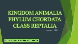 KINGDOM ANIMALIA
PHYLUM CHORDATA
CLASS REPTALIA
SITTIE AINA SARIP PAGADOR
December 9, 2015
 