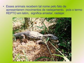 Esses animais recebem tal nome pelo fato de apresentarem movimentos de rastejamento,  pois o termo REPTO em latim,  significa arrastar, rastejar.  