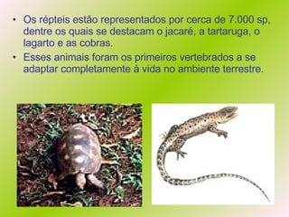 Os répteis estão representados por cerca de 7.000 sp, dentre os quais se destacam o jacaré, a tartaruga, o lagarto e as cobras.  Esses animais foram os primeiros vertebrados a se adaptar completamente à vida no ambiente terrestre. 