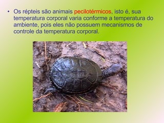 Os répteis são animais  pecilotérmicos , isto é, sua temperatura corporal varia conforme a temperatura do ambiente, pois eles não possuem mecanismos de controle da temperatura corporal. 