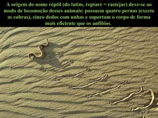 A origem do nome réptil (do latim, reptare = rastejar) deve-se ao
modo de locomoção desses animais: possuem quatro pernas (exceto
as cobras), cinco dedos com unhas e suportam o corpo de forma
mais eficiente que os anfíbios.
 