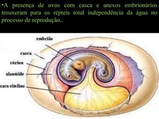 •A presença de ovos com casca e anexos embrionários
trouxeram para os répteis total independência da água no
processo de reprodução..
 