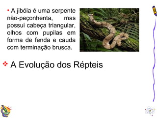 • A jibóia é uma serpente 
não-peçonhenta, mas 
possui cabeça triangular, 
olhos com pupilas em 
forma de fenda e cauda 
com terminação brusca. 
 A Evolução dos Répteis 
 