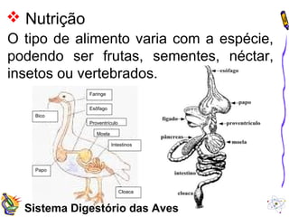  Nutrição 
O tipo de alimento varia com a espécie, 
podendo ser frutas, sementes, néctar, 
insetos ou vertebrados. 
Faringe 
Esôfago 
Bico 
Papo 
Proventrículo 
Intestinos 
Moela 
Cloaca 
Sistema Digestório das Aves 
 