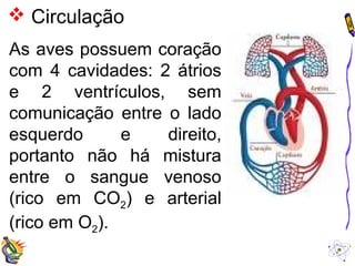  Circulação 
As aves possuem coração 
com 4 cavidades: 2 átrios 
e 2 ventrículos, sem 
comunicação entre o lado 
esquerdo e direito, 
portanto não há mistura 
entre o sangue venoso 
(rico em CO2) e arterial 
(rico em O2). 
 