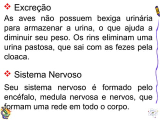  Excreção 
As aves não possuem bexiga urinária 
para armazenar a urina, o que ajuda a 
diminuir seu peso. Os rins eliminam uma 
urina pastosa, que sai com as fezes pela 
cloaca. 
 Sistema Nervoso 
Seu sistema nervoso é formado pelo 
encéfalo, medula nervosa e nervos, que 
formam uma rede em todo o corpo. 
 