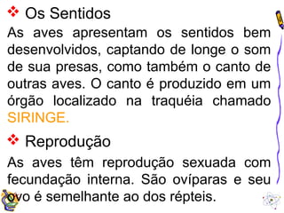  Os Sentidos 
As aves apresentam os sentidos bem 
desenvolvidos, captando de longe o som 
de sua presas, como também o canto de 
outras aves. O canto é produzido em um 
órgão localizado na traquéia chamado 
SIRINGE. 
 Reprodução 
As aves têm reprodução sexuada com 
fecundação interna. São ovíparas e seu 
ovo é semelhante ao dos répteis. 
 