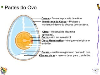  Partes do Ovo 
Casca – Formada por sais de cálcio. 
Membrana da Casca – Protege o 
conteúdo interno do choque com a casca. 
Clara – Reserva de albumina 
(proteína). 
Gema – rica em colesterol 
Disco Germinativo – é o que vai originar o 
embrião. 
Calaza – sustenta a gema no centro do ovo. 
Câmara de ar – reserva de ar para o embrião. 
 