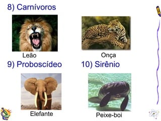 8) Carnívoros 
Leão Onça 
9) Proboscídeo 
10) Sirênio 
Elefante Peixe-boi 
 