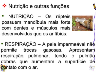  Nutrição e outras funções 
 NUTRIÇÃO – Os répteis 
possuem mandíbula mais forte 
com dentes e músculos mais 
desenvolvidos que os anfíbios. 
 RESPIRAÇÃO – A pele impermeável não 
permite trocas gasosas. Apresentam 
respiração pulmonar, tendo o pulmão 
dobras que aumentam a superfície de 
contato com o ar. 
 