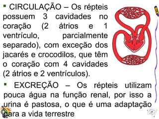  CIRCULAÇÃO – Os répteis 
possuem 3 cavidades no 
coração (2 átrios e 1 
ventrículo, parcialmente 
separado), com exceção dos 
jacarés e crocodilos, que têm 
o coração com 4 cavidades 
(2 átrios e 2 ventrículos). 
 EXCREÇÃO – Os répteis utilizam 
pouca água na função renal, por isso a 
urina é pastosa, o que é uma adaptação 
para a vida terrestre 
 