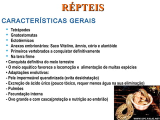  Tetrápodes
 Gnatostomatas
 Ectotérmicos
 Anexos embrionários: Saco Vitelino, âmnio, cório e alantóide
 Primeiros vertebrados a conquistar definitivamente
 Na terra firme
• Conquista definitiva do meio terrestre
• O meio aquático favorece a locomoção e alimentação de muitas espécies
• Adaptações evolutivas:
- Pele impermeável queratinizada (evita desidratação)
- Excreção de ácido úrico (pouco tóxico, requer menos água na sua eliminação)
- Pulmões
- Fecundação interna
- Ovo grande e com casca(proteção e nutrição ao embrião)
CARACTERÍSTICAS GERAIS
RÉPTEISRÉPTEIS
 