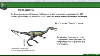 Os dinossauros
‘Dino’ = terrível; ‘Saurios’ = lagarto
Compsognato, com 60 cm a
90 cm de comprimento e cerca de 3 kg.
Os di...