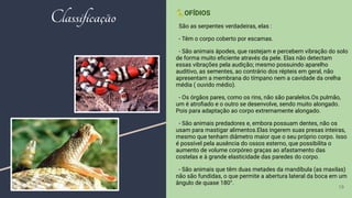 🐍OFÍDIOS
São as serpentes verdadeiras, elas :
- Têm o corpo coberto por escamas.
- São animais ápodes, que rastejam e percebem vibração do solo
de forma muito eﬁciente através da pele. Elas não detectam
essas vibrações pela audição; mesmo possuindo aparelho
auditivo, as sementes, ao contrário dos répteis em geral, não
apresentam a membrana do tímpano nem a cavidade da orelha
média ( ouvido médio).
- Os órgãos pares, como os rins, não são paralelos.Os pulmão,
um é atroﬁado e o outro se desenvolve, sendo muito alongado.
Pois para adaptação ao corpo extremamente alongado.
- São animais predadores e, embora possuam dentes, não os
usam para mastigar alimentos.Elas ingerem suas presas inteiras,
mesmo que tenham diâmetro maior que o seu próprio corpo. Isso
é possível pela ausência do ossos esterno, que possibilita o
aumento de volume corpóreo graças ao afastamento das
costelas e à grande elasticidade das paredes do corpo.
- São animais que têm duas metades da mandíbula (as maxilas)
não são fundidas, o que permite a abertura lateral da boca em um
ângulo de quase 180°.
19
Classificação
 