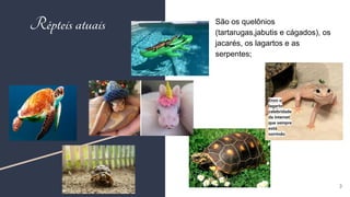 3
Répteisatuais São os quelônios
(tartarugas,jabutis e cágados), os
jacarés, os lagartos e as
serpentes;
Enzo o
lagarto
celebridade
da internet
que sempre
está
sorrindo
 