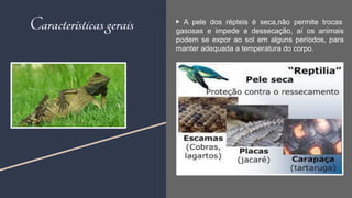 ▶ A pele dos répteis é seca,não permite trocas
gasosas e impede a dessecação, aí os animais
podem se expor ao sol em alguns períodos, para
manter adequada a temperatura do corpo.
5
Características gerais
 