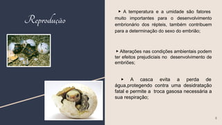 ▶ A temperatura e a umidade são fatores
muito importantes para o desenvolvimento
embrionário dos répteis, também contribuem
para a determinação do sexo do embrião;
▶ Alterações nas condições ambientais podem
ter efeitos prejudiciais no desenvolvimento de
embriões;
▶ A casca evita a perda de
água,protegendo contra uma desidratação
fatal e permite a troca gasosa necessária a
sua respiração;
8
Reprodução
 
