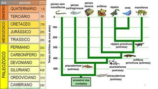 Fig. 7: Eras geológicas. Fontegoogleusercontent
11
 