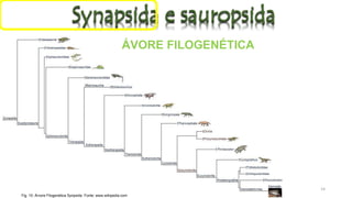 ÁVORE FILOGENÉTICA
Fig. 10: Árvore Filogenética Synpsida. Fonte: www.wikipedia.com
14
 