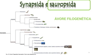 ÁVORE FILOGENÉTICA
Fig. 10: Árvore Filogenética Sauropsida. Fonte: www.wikipedia.com
15
 