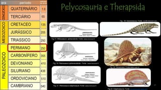 17
Fonte: www.larousse.fr
Fig. 20: Dimetrodon. Fonte:www.uua.cn
Fig. 18: Varanosaurus. Fonte:. dc189.4shared.com
Fig.22 Edaphosaurus. Fonte: es.jurassicpark.wikia.comEras geológicas. Fontegoogleusercontent
Fig.17: Pelicossauro ophiacodonte. Fonte: www.larousse.fr
Fig. 21 Pelicossauro edaphosaure. Fonte: www.larousse.fr
Fig. 19: Pelicossauro sphenacodonte.. Fonte:. www.larousse.fr
 