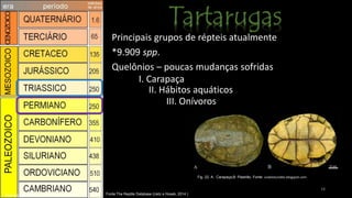 18
Principais grupos de répteis atualmente
*9.909 spp.
Quelônios – poucas mudanças sofridas
18
Fonte:The Reptile Database (Uetz e Hosek, 2014 )
I. Carapaça
III. Onívoros
II. Hábitos aquáticos
Fig. 22: A: Carapaça;B: Plastrão. Fonte: unatestunides.blogspot.com
Eras geológicas. Fontegoogleusercontent
 