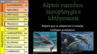 19
Répteis que se adaptaram à natação
Ictiófagos predadores
Fig. 24: Reconstrução de ictiossauros. Fonte:
www.avph.com.br/ictiossauro
Fig. 23: Reconstrução de plesiosauro. Fonte:
66south.comEras geológicas. Fontegoogleusercontent
 