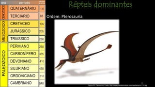 22
Figura 30: Pterosauro. Fonte: http://www.prehistoricstore.com/newitems/m1716.jpg
Ordem: Pterosauria
 