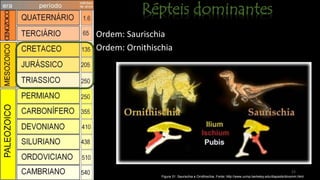 23
Ordem: Saurischia
Ordem: Ornithischia
Figura 31: Saurischia e Ornithischia. Fonte: http://www.ucmp.berkeley.edu/diapsids/dinomm.html
 