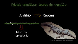 Anfíbios Répteis
Configuração do esqueleto
Modo de
reprodução
Fig . 3: Fóssil de labirintodonte. Fonte: www.reocities.com
4
 