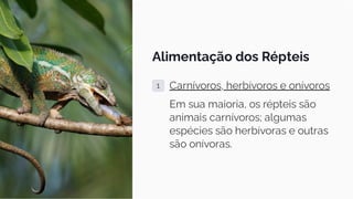 Alimentação dos Répteis
1 Carnívoros, herbívoros e onívoros
Em sua maioria, os répteis são
animais carnívoros; algumas
espécies são herbívoras e outras
são onívoras.
 