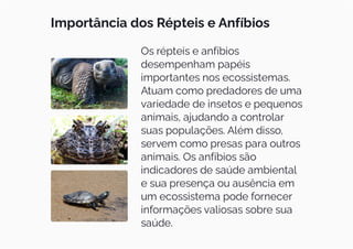 Importância dos Répteis e Anfíbios
Os répteis e anfíbios
desempenham papéis
importantes nos ecossistemas.
Atuam como predadores de uma
variedade de insetos e pequenos
animais, ajudando a controlar
suas populações. Além disso,
servem como presas para outros
animais. Os anfíbios são
indicadores de saúde ambiental
e sua presença ou ausência em
um ecossistema pode fornecer
informações valiosas sobre sua
saúde.
 