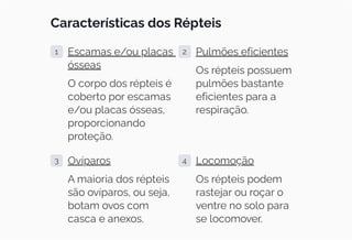 Características dos Répteis
1 Escamas e/ou placas
ósseas
O corpo dos répteis é
coberto por escamas
e/ou placas ósseas,
proporcionando
proteção.
2 Pulmões eficientes
Os répteis possuem
pulmões bastante
eficientes para a
respiração.
3 Ovíparos
A maioria dos répteis
são ovíparos, ou seja,
botam ovos com
casca e anexos.
4 Locomoção
Os répteis podem
rastejar ou roçar o
ventre no solo para
se locomover.
 