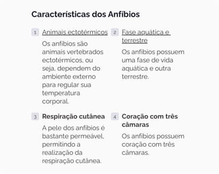 Características dos Anfíbios
1 Animais ectotérmicos
Os anfíbios são
animais vertebrados
ectotérmicos, ou
seja, dependem do
ambiente externo
para regular sua
temperatura
corporal.
2 Fase aquática e
terrestre
Os anfíbios possuem
uma fase de vida
aquática e outra
terrestre.
3 Respiração cutânea
A pele dos anfíbios é
bastante permeável,
permitindo a
realização da
respiração cutânea.
4 Coração com três
câmaras
Os anfíbios possuem
coração com três
câmaras.
 