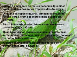 Iguana é um gênero de répteis da família Iguanidae característicos das zonas tropicais das Américas.  O iguana da espécie Iguana , também chamado de iguana-verde, é um dos répteis mais criados em cativeiro.  Têm hábitos arborícolas, isto é, vivem em árvores, podendo atingir 180 cm.  Quando novos, os iguanas possuem uma coloração verde intensa, já quando maiores, apresentam, ao longo do corpo, listras escuras.  A cauda de uma iguana possui dois terços do comprimento total do corpo.  