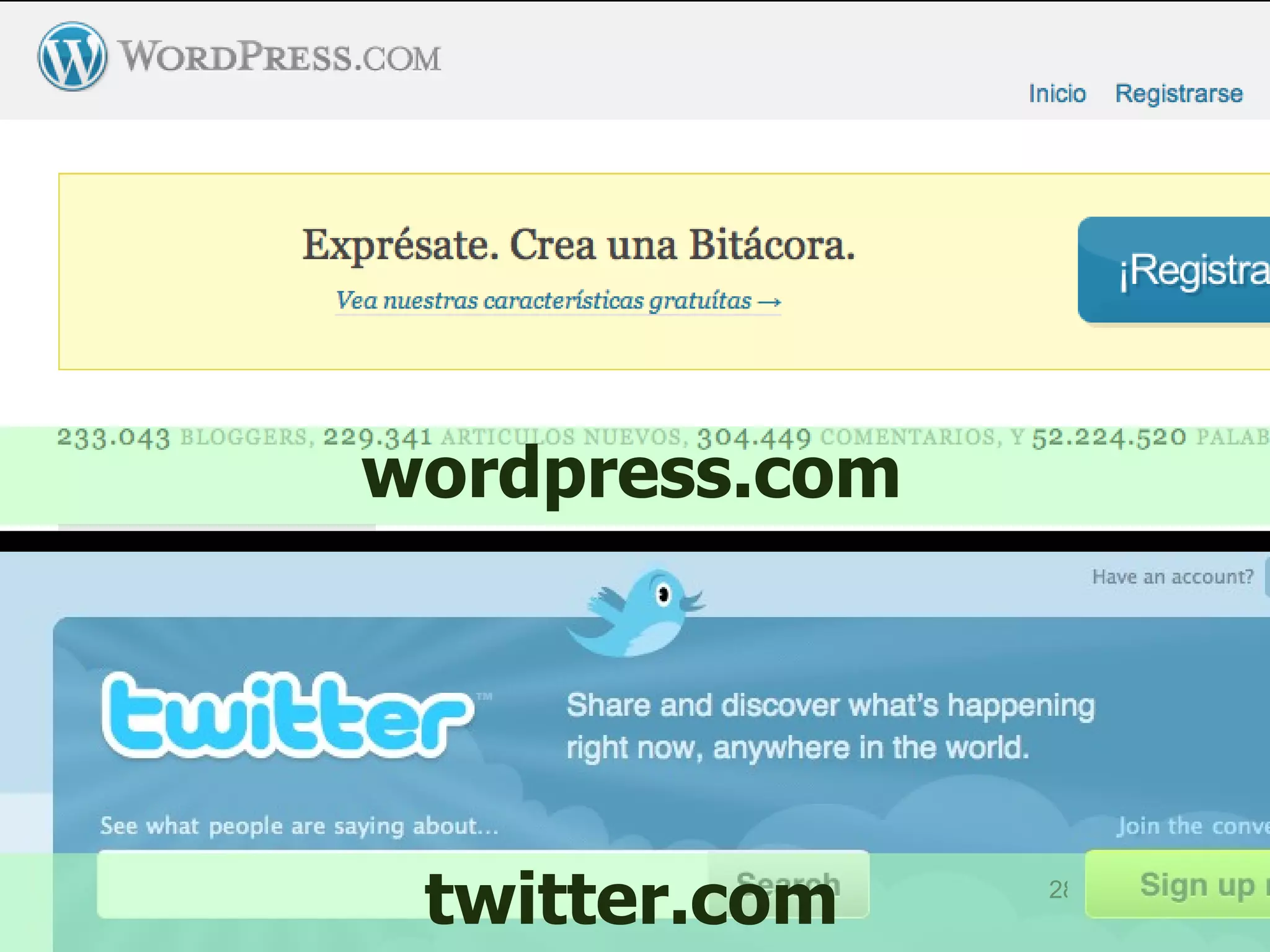 wordpress.com twitter.com 
