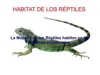 HABITAT DE LOS RÉPTILES
La Mayoría de los Réptiles habitan en las
regiones ecuatoriales.
 