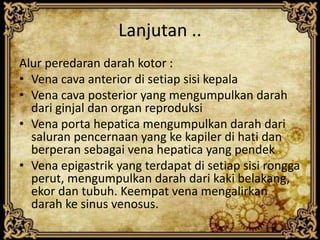 Lanjutan ..
Alur peredaran darah kotor :
• Vena cava anterior di setiap sisi kepala
• Vena cava posterior yang mengumpulkan darah
dari ginjal dan organ reproduksi
• Vena porta hepatica mengumpulkan darah dari
saluran pencernaan yang ke kapiler di hati dan
berperan sebagai vena hepatica yang pendek
• Vena epigastrik yang terdapat di setiap sisi rongga
perut, mengumpulkan darah dari kaki belakang,
ekor dan tubuh. Keempat vena mengalirkan
darah ke sinus venosus.
 